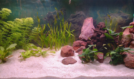 aquarium bac 200l