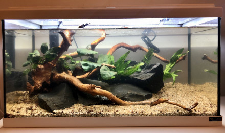 aquarium Premier aquarium 54L