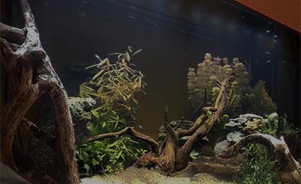 aquarium 200L
