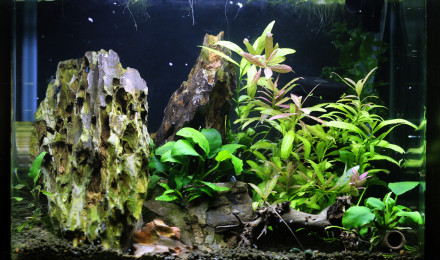 aquarium DEEP TIK D