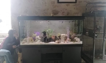 aquarium Général 500litres