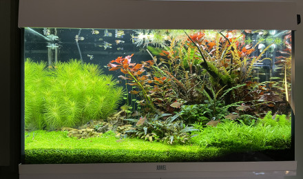 aquarium 125L