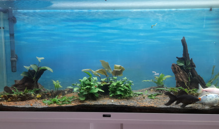 aquarium Le Cypriland