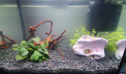 aquarium 30L