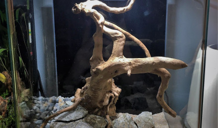 aquarium Nano 20 L N2