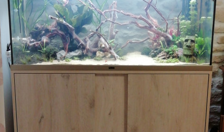 aquarium Arc en ciel