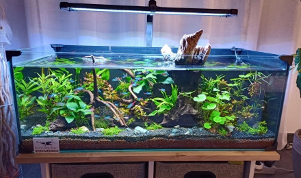 aquarium Mon bac a moi