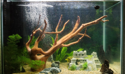 aquarium Superfish Home 85