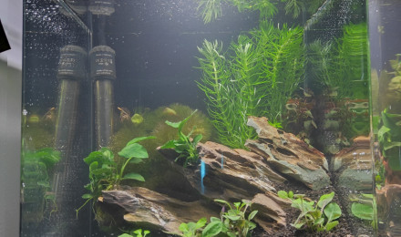 aquarium Nano1
