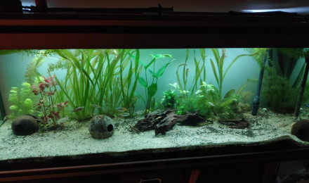 aquarium Monaqua