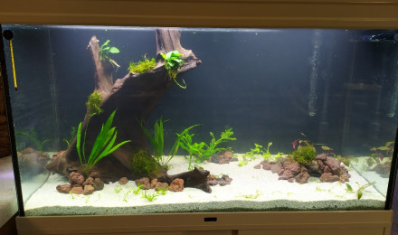 aquarium Aquatlantis expert 240L