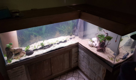 aquarium Aqua 440l en L