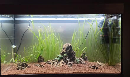 aquarium Repos du Dragon