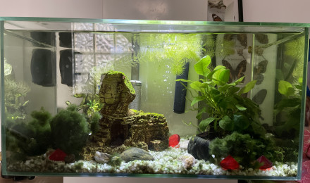 aquarium Couloir