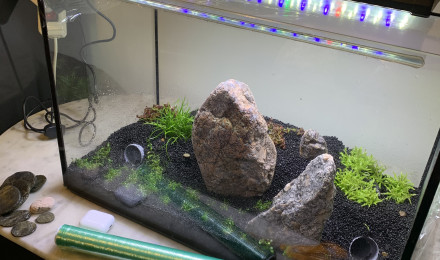 aquarium Force tranquille