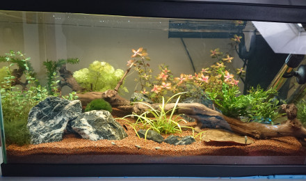 aquarium Ciano Aquarium 60 LED