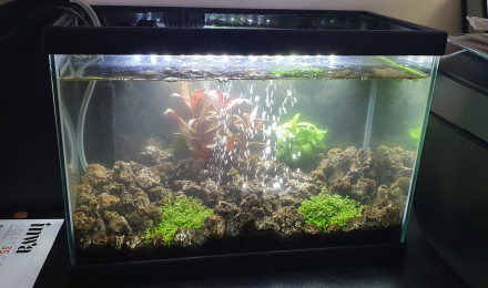 aquarium 13L du Mordor