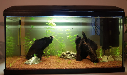 aquarium Premier aquarium