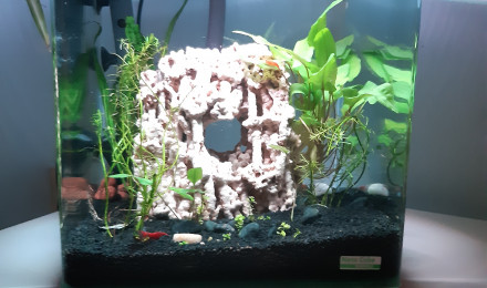 aquarium Aqua30L
