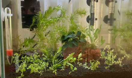 aquarium Nano 22L