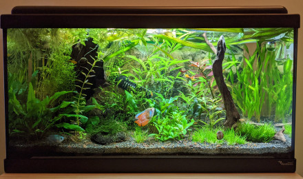 aquarium Sur la Route des Laves