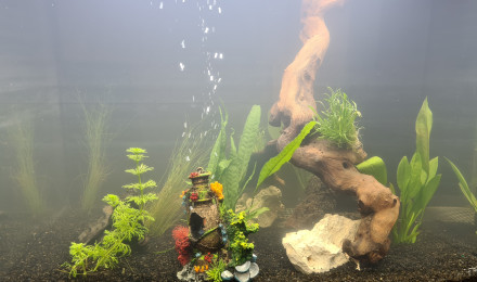 aquarium JEWEL LIDO 200