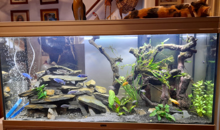 aquarium Eloise
