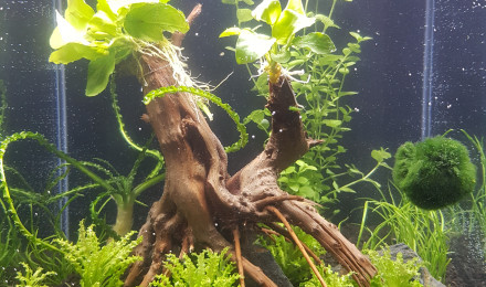 aquarium Nano30
