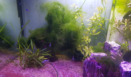 aquarium Aquatlantis 130L
