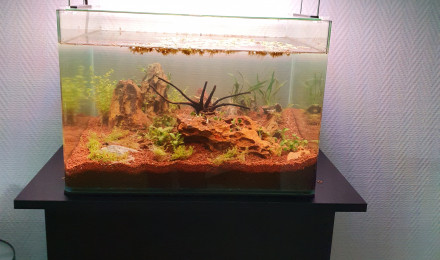 aquarium Dennerle scapers tank 50l