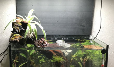 aquarium Nano 35