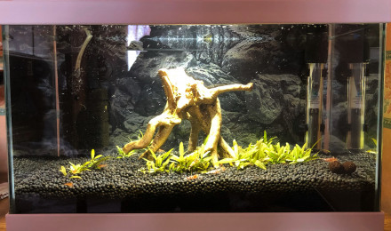 aquarium Aquarium 20L