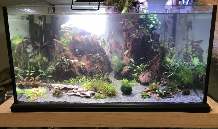 aquarium Mon 80L