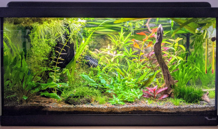 aquarium Sur la Route des Laves