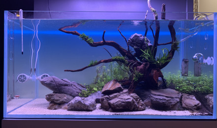 aquarium Aquascaping 128 litres