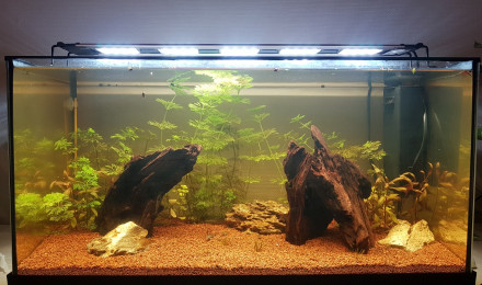 aquarium Premier aquarium