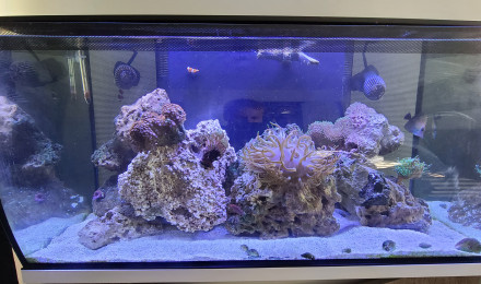 aquarium V3