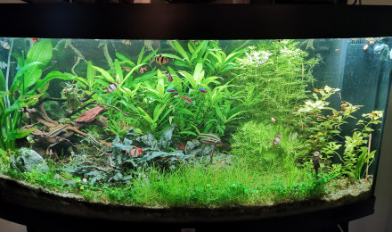 aquarium Juwel vision 260