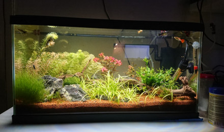 aquarium Ciano Aquarium 60 LED