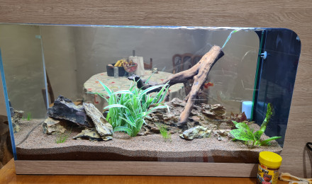 aquarium Communautaire