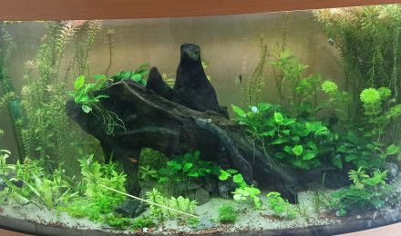 aquarium Bac 300L Léo