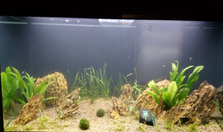 aquarium R lyeh