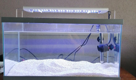 aquarium Nano recifal
