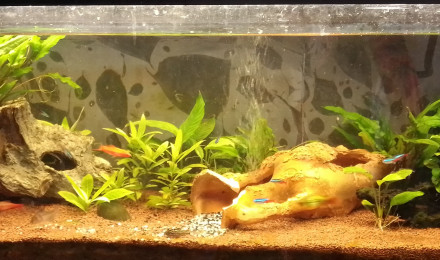 aquarium 120L