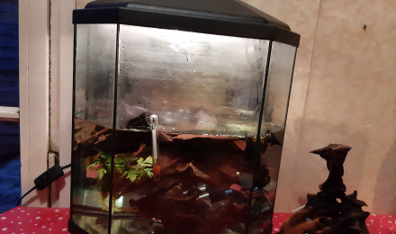 aquarium Bac hopital