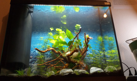 aquarium Aquariumzak