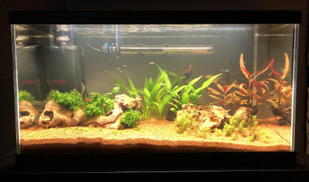 aquarium 60L