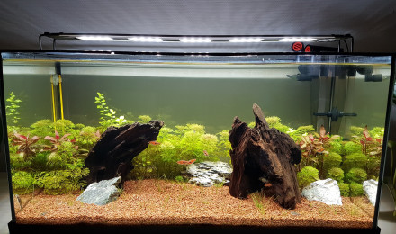 aquarium Premier aquarium