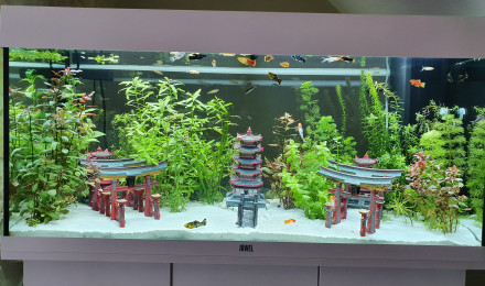 aquarium JUWEL RIO180