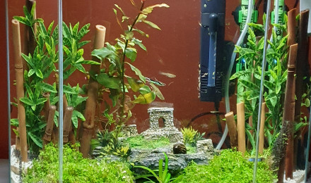 aquarium Noé